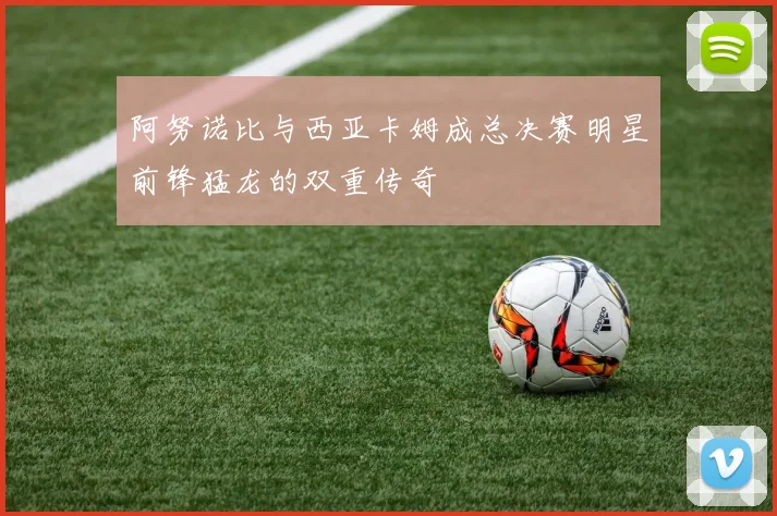 阿努诺比与西亚卡姆成总决赛明星前锋猛龙的双重传奇